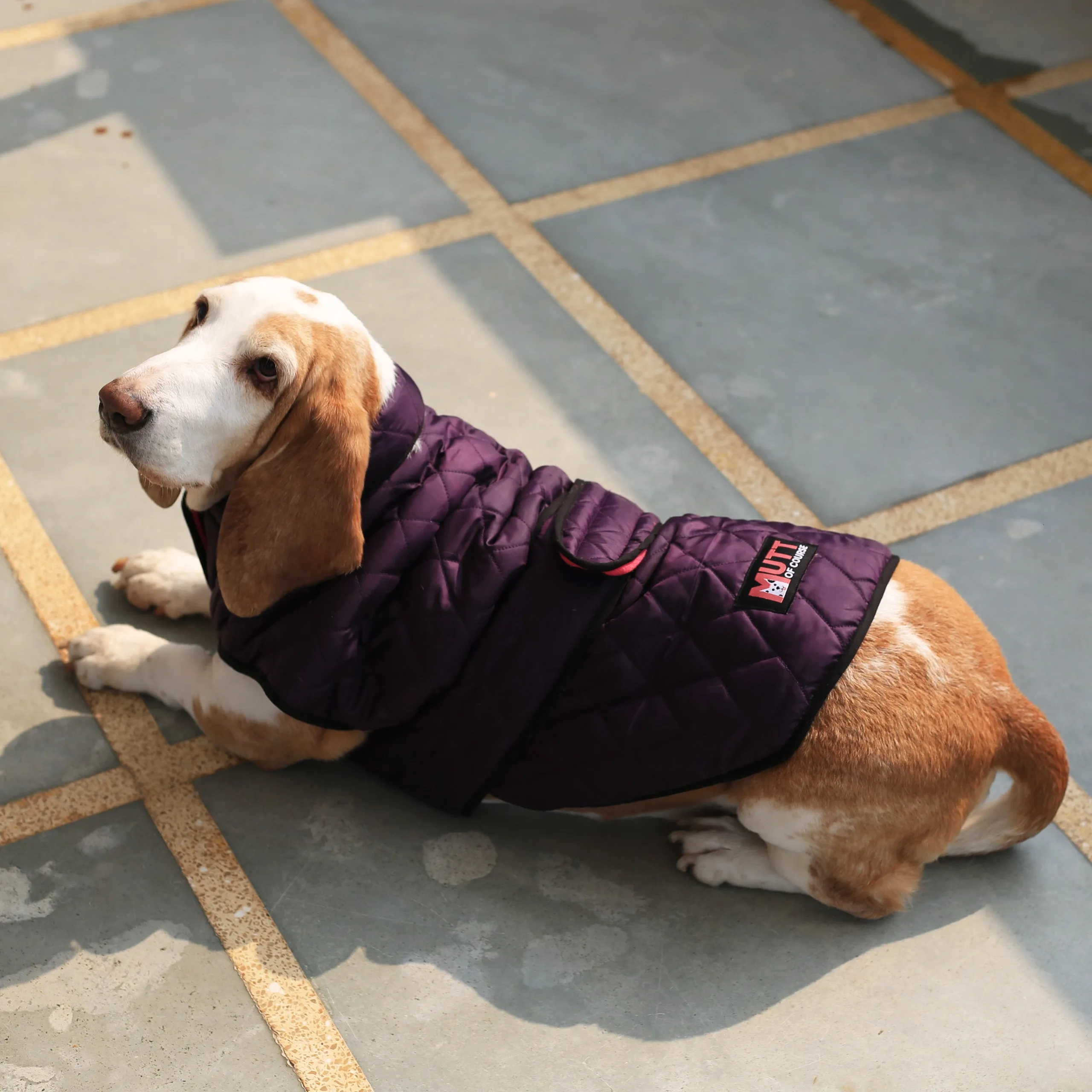 Waterproof Bomber Jacket