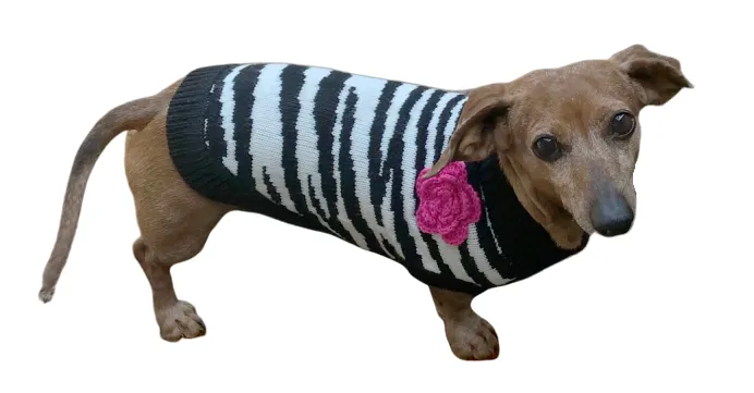 Zebra Fleur Rose Dog Sweater